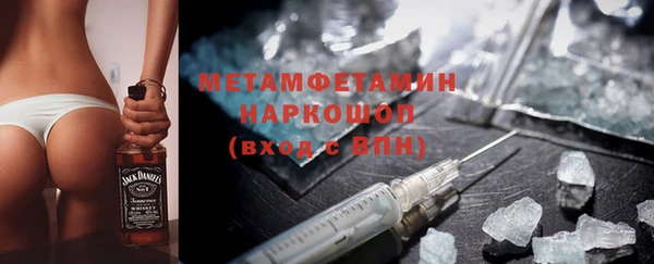 гидра Богданович