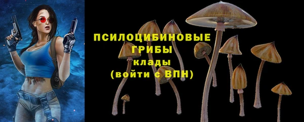 гидра Богданович