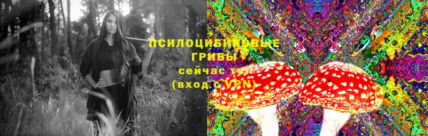 эйфоретик Богородицк