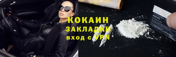 гидра Богданович