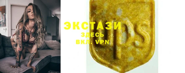 гидра Богданович