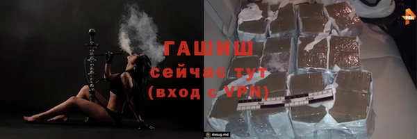 гидра Богданович