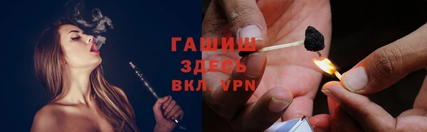 мдпв Богородск