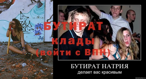 гидра Богданович