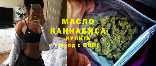 мдпв Богородск