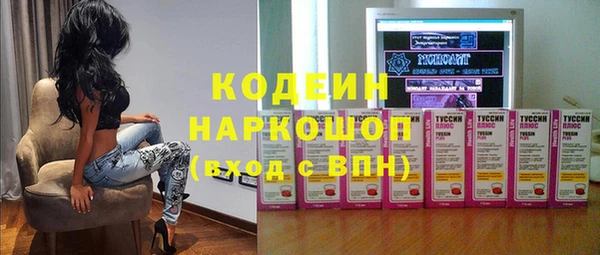 гидра Богданович