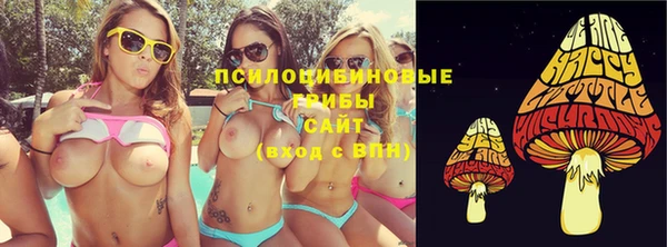 гидра Богданович
